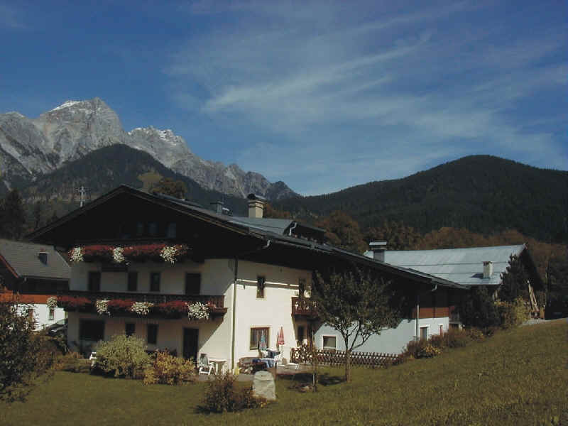 wpe3.jpg (39015 Byte)