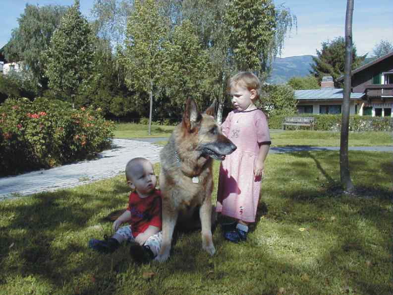 enkel.jpg (56462 Byte)