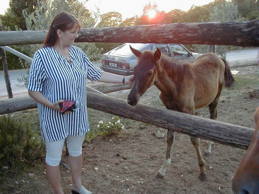 seite11.jpg (70667 Byte)